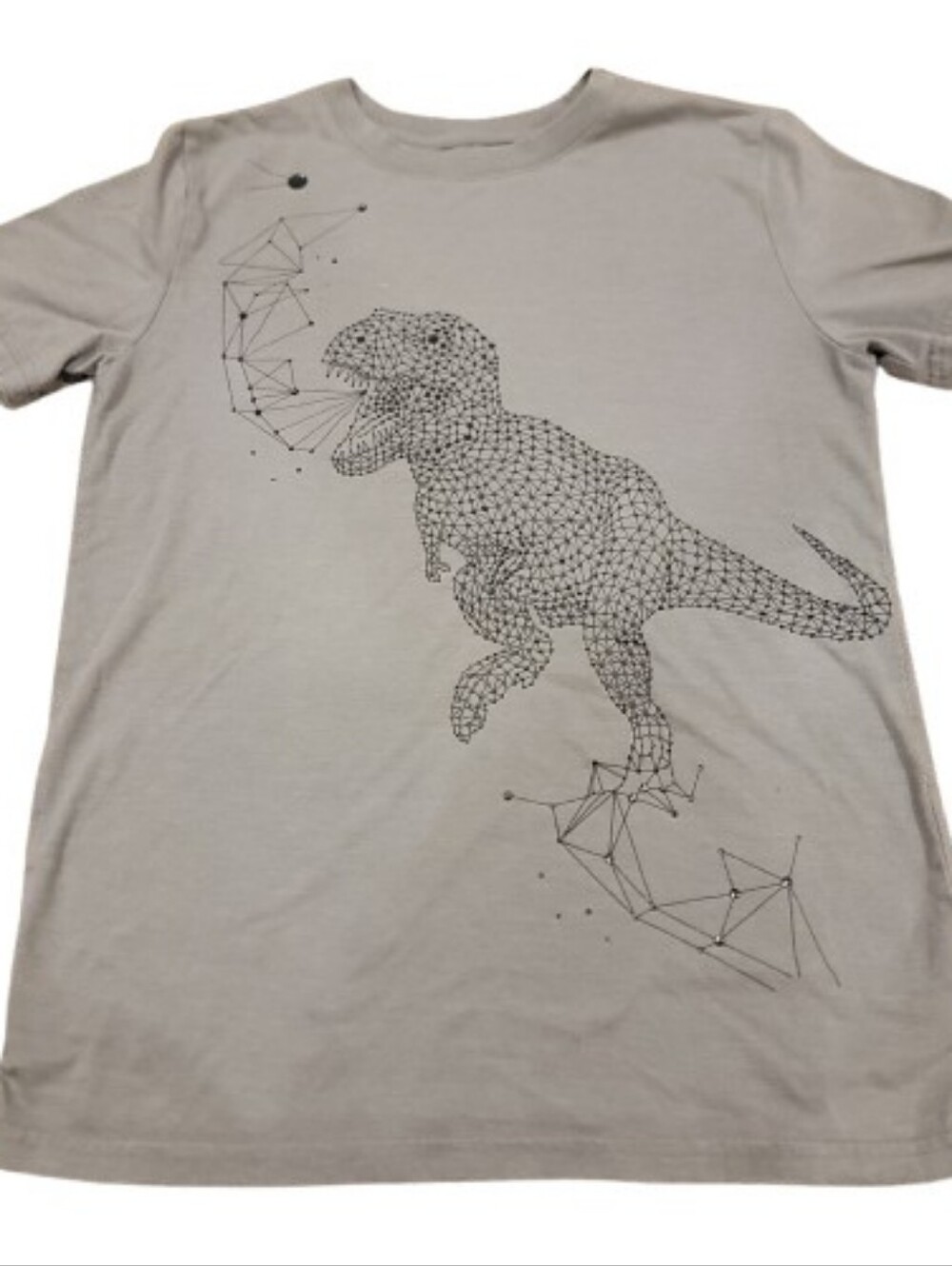 Cat & Jack‎  Pullover Dinosaur T Shirt Youth Boys Large 12/14 Gray Short Sleeve